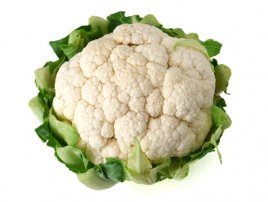 Blumenkohl blumenkohl.jpg