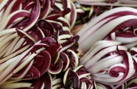 Winterradicchio radicchio_web.jpg
