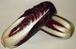 Sommerradicchio sommerradicchio.jpg