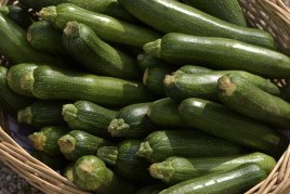 Zucchini zucchini.jpg